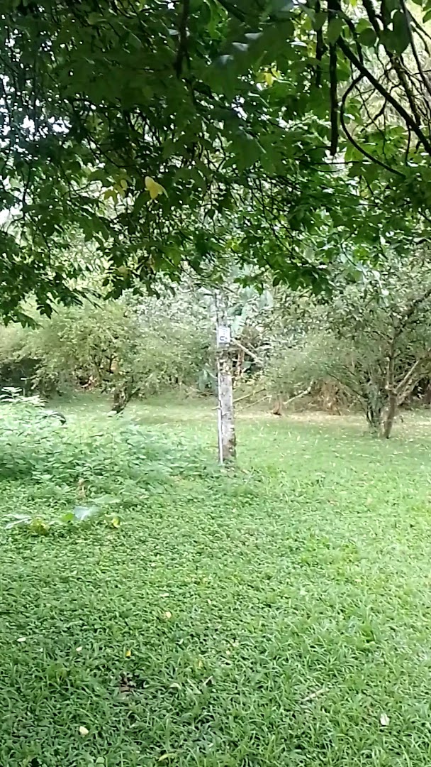 Camping das Meninas - Image 2