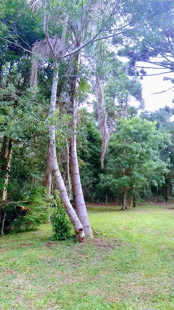 Camping Guartelá - Image 2