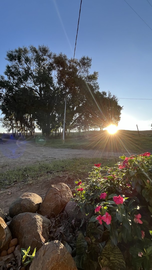 Camping da Vó Derzi - Main Image