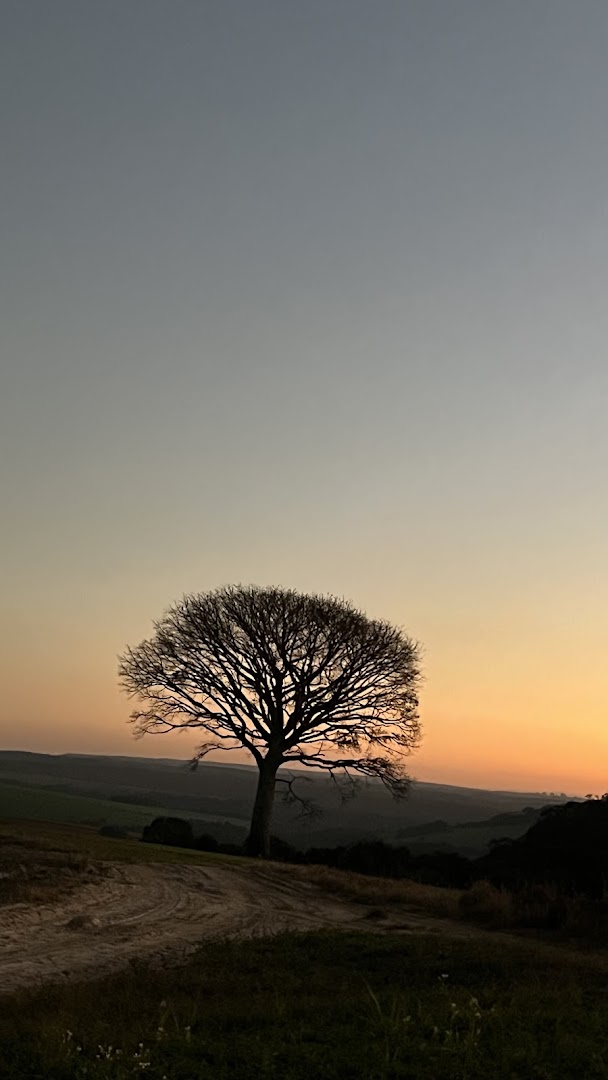 Camping da Vó Derzi - Image 3