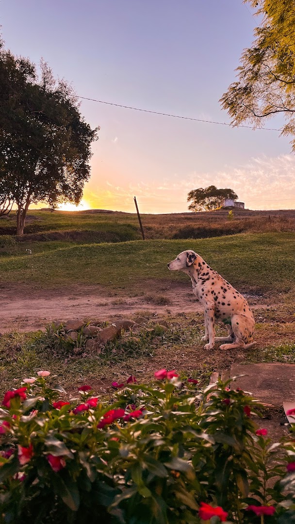 Camping da Vó Derzi - Image 4