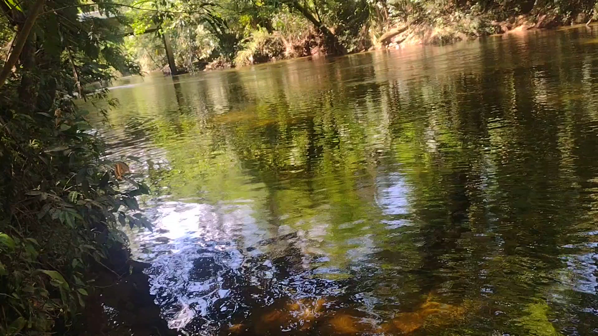 parque cacatu - Image 4