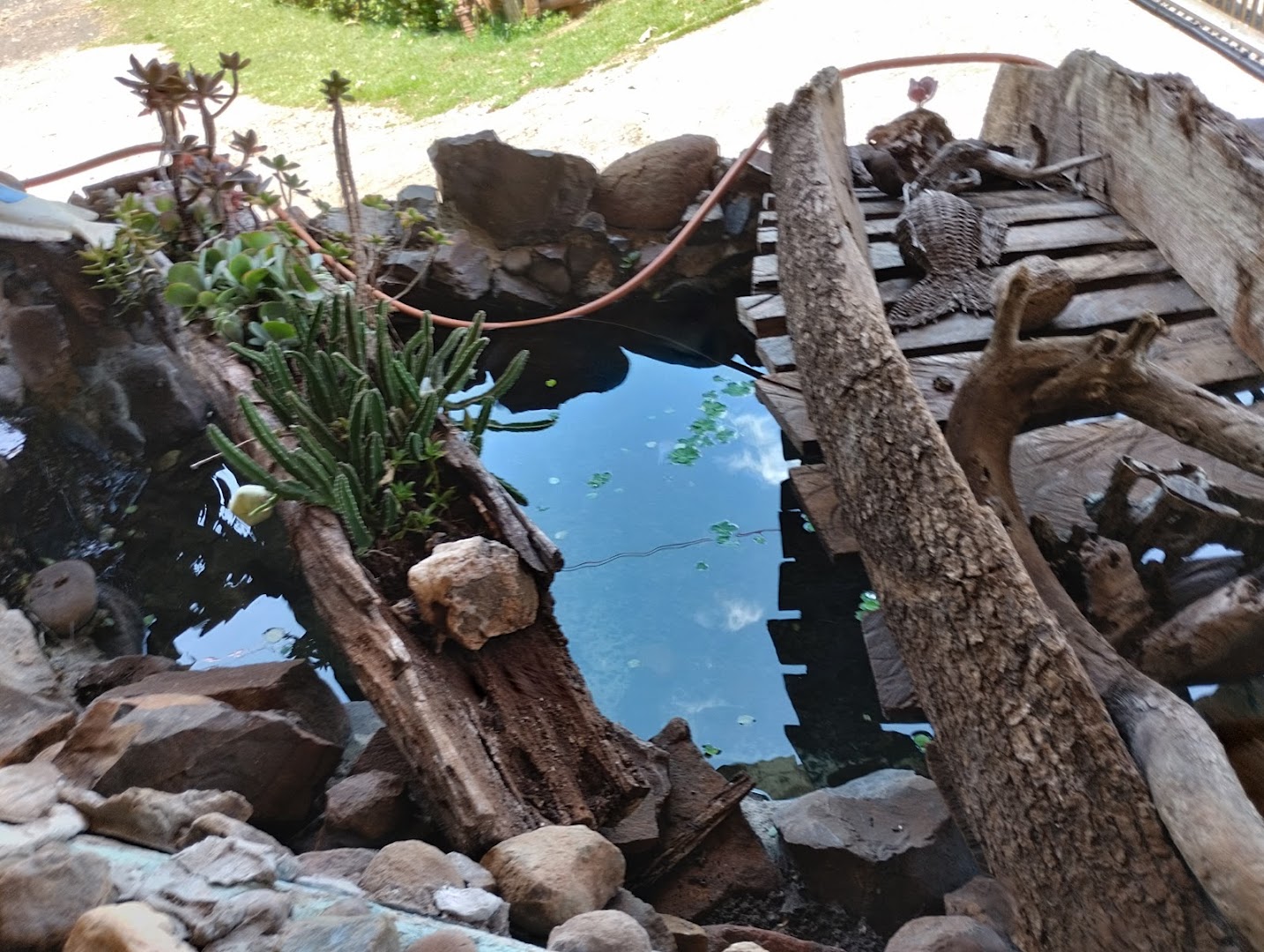 Lanchonete e Pousada da Preta - Image 4