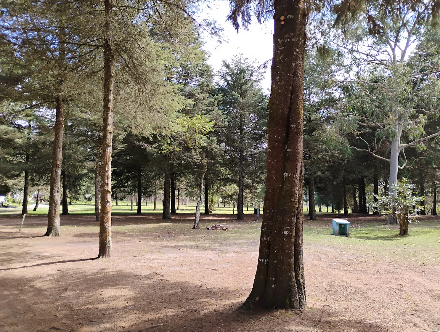 Camping Organizado - Fazenda Thalia - Image 4