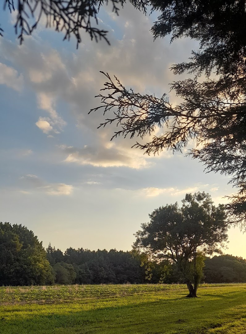 Camping Organizado - Fazenda Thalia - Image 5