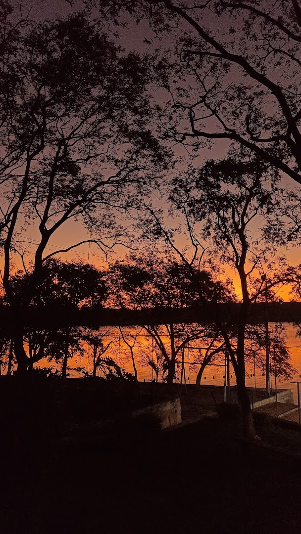 Praia De Ouro Verde - Bolica - Image 5