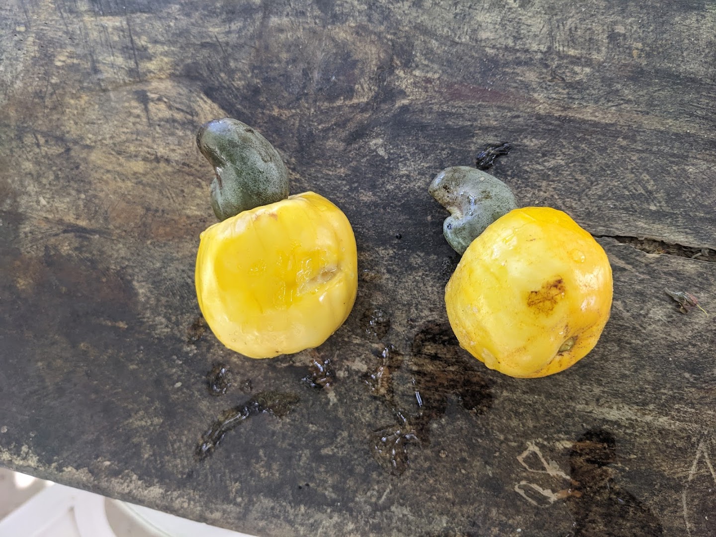 Caju Brisa Camping - Image 4