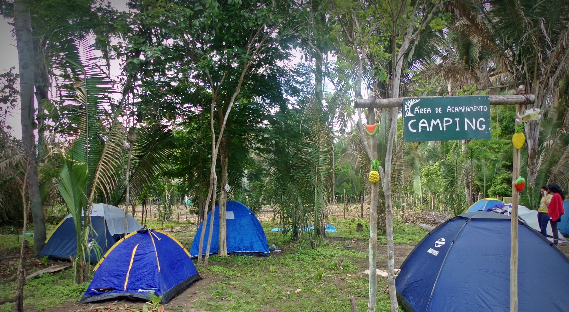 Camping da Vila Pagã - Main Image