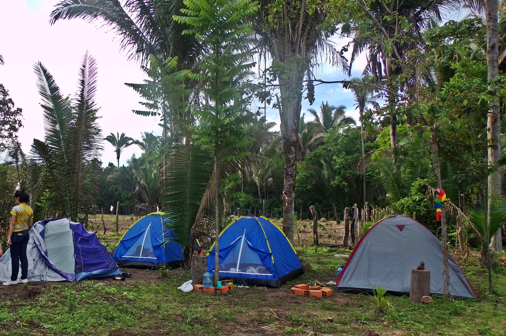 Camping da Vila Pagã - Image 2