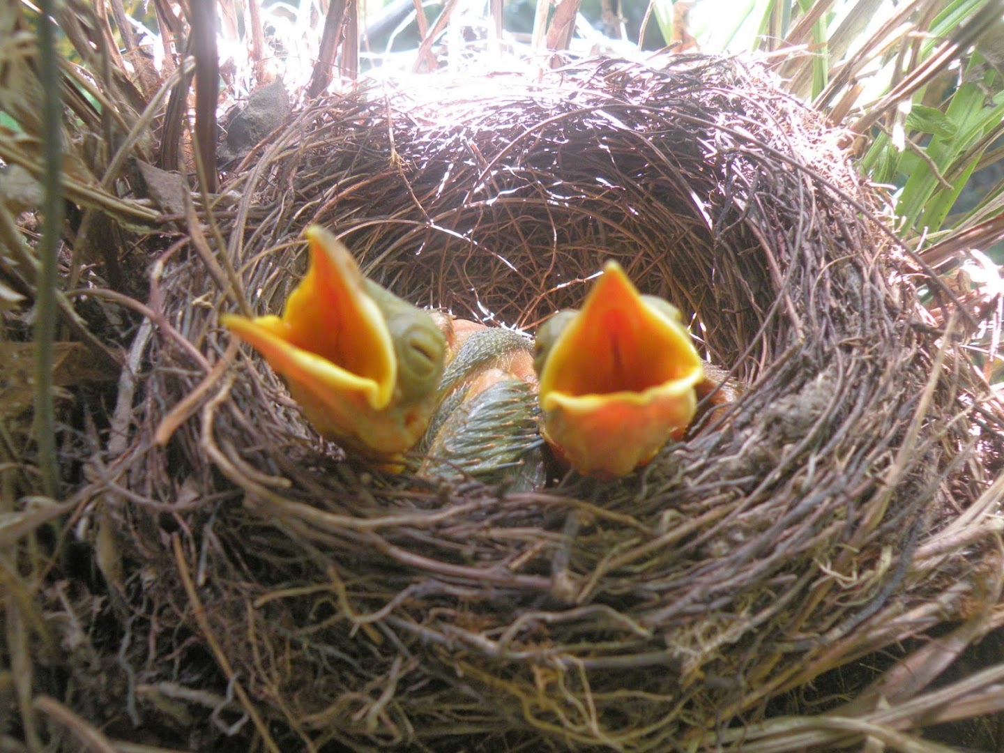 Eco Parque Pocinho - Main Image