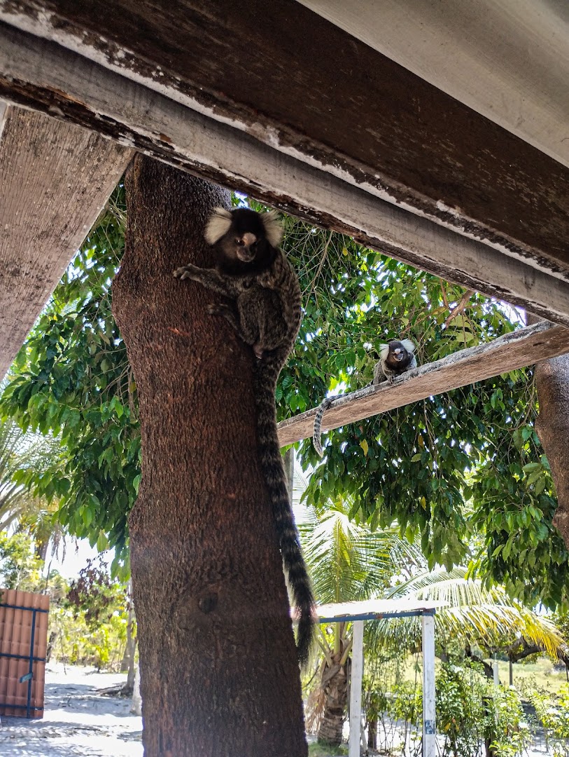 Narnia camp - Image 5