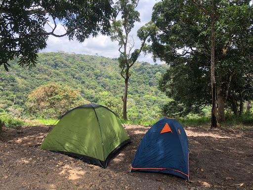 Cachoeira Paraíso Perdido & Rancho das Palmeiras - Image 2