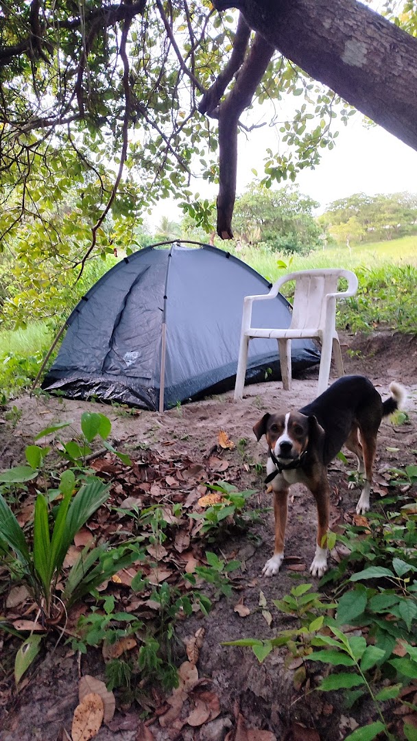 Bosque Do Caju - Image 4