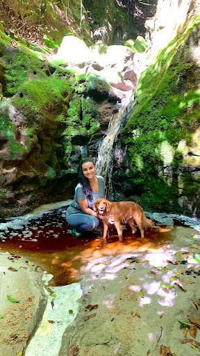 Kanpai Acampamento - Main Image