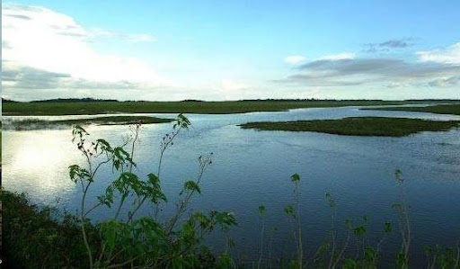 Redário e Camping Recanto do Paracauari Professor Ronaldo Rocha. Atendemos Em Francês E Português. - Image 3