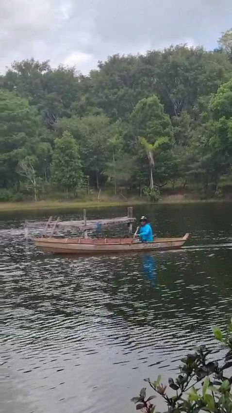 Sítio Lua De Prata - Image 4