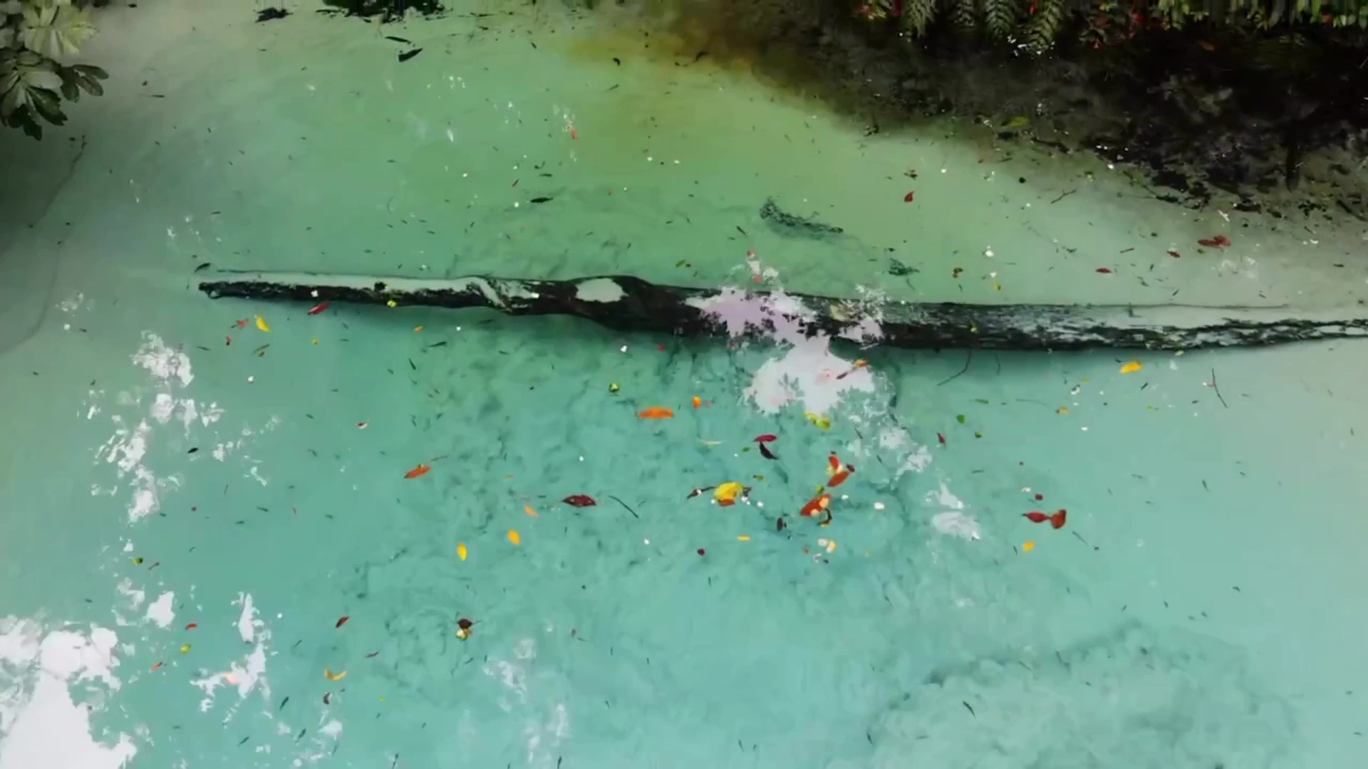 Fazenda Borbulha - Image 2