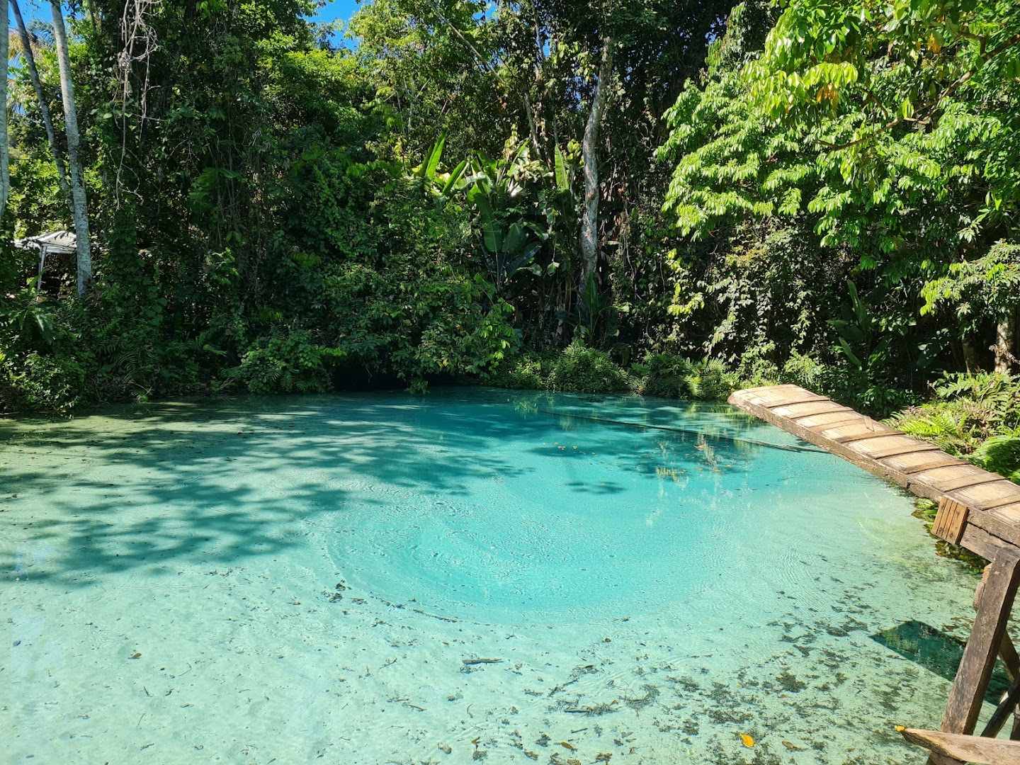 Fazenda Borbulha - Image 3