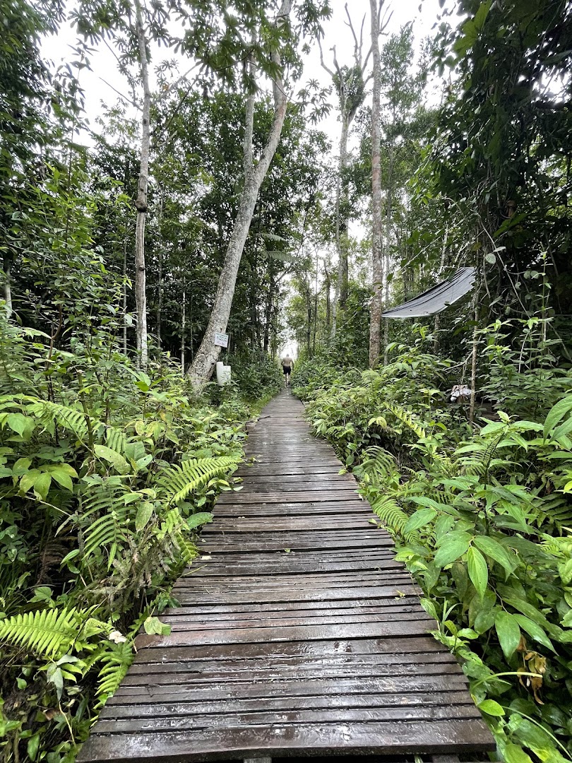 Fazenda Borbulha - Image 4