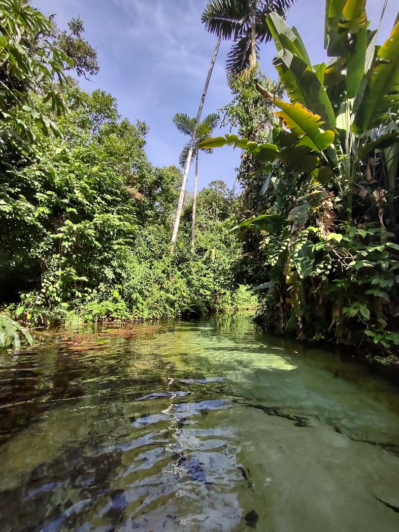 Fazenda Borbulha - Image 5
