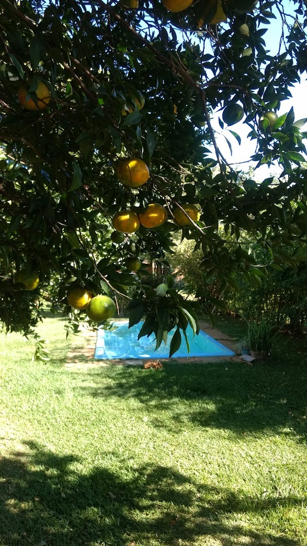 Camping e Hostel Paraíso Alternativo - Image 5