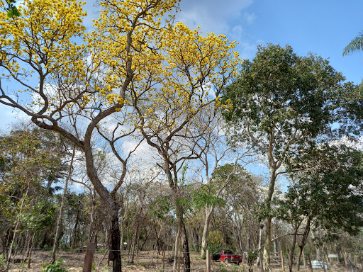 Camping Coxipo do Ouro - Image 2