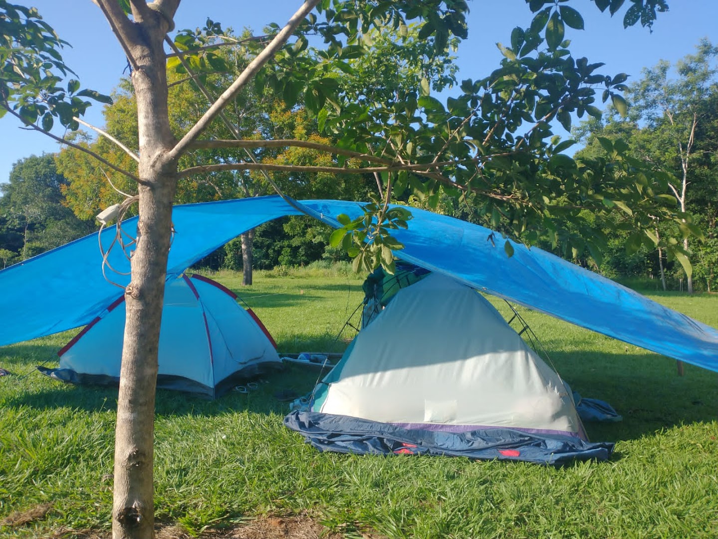 FLOR DA SERRA - Chalés e Camping - Image 5