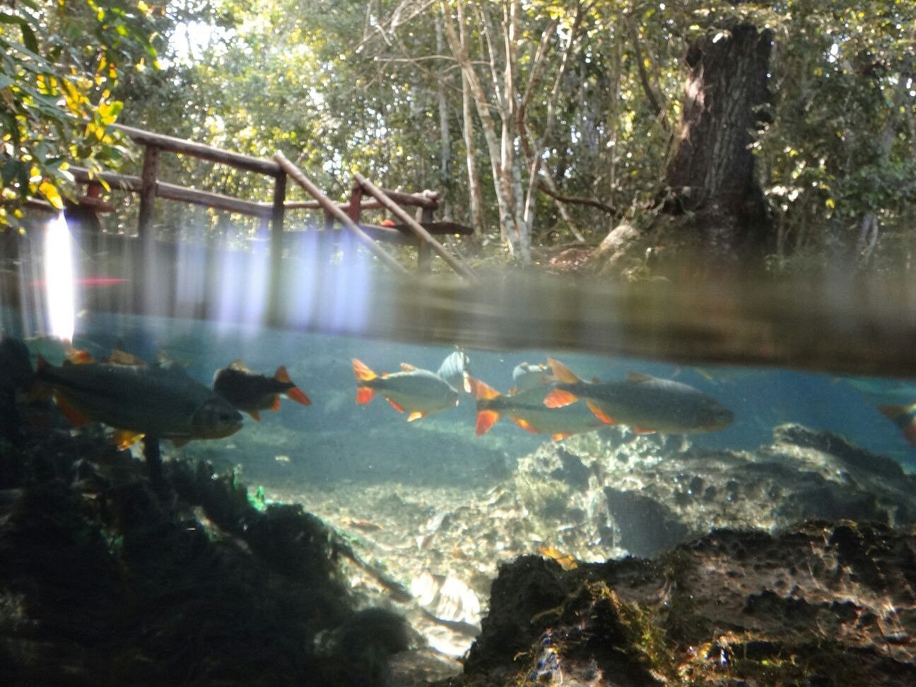 Agência e Pousada Estância da Mata - Nobres MT - Image 4