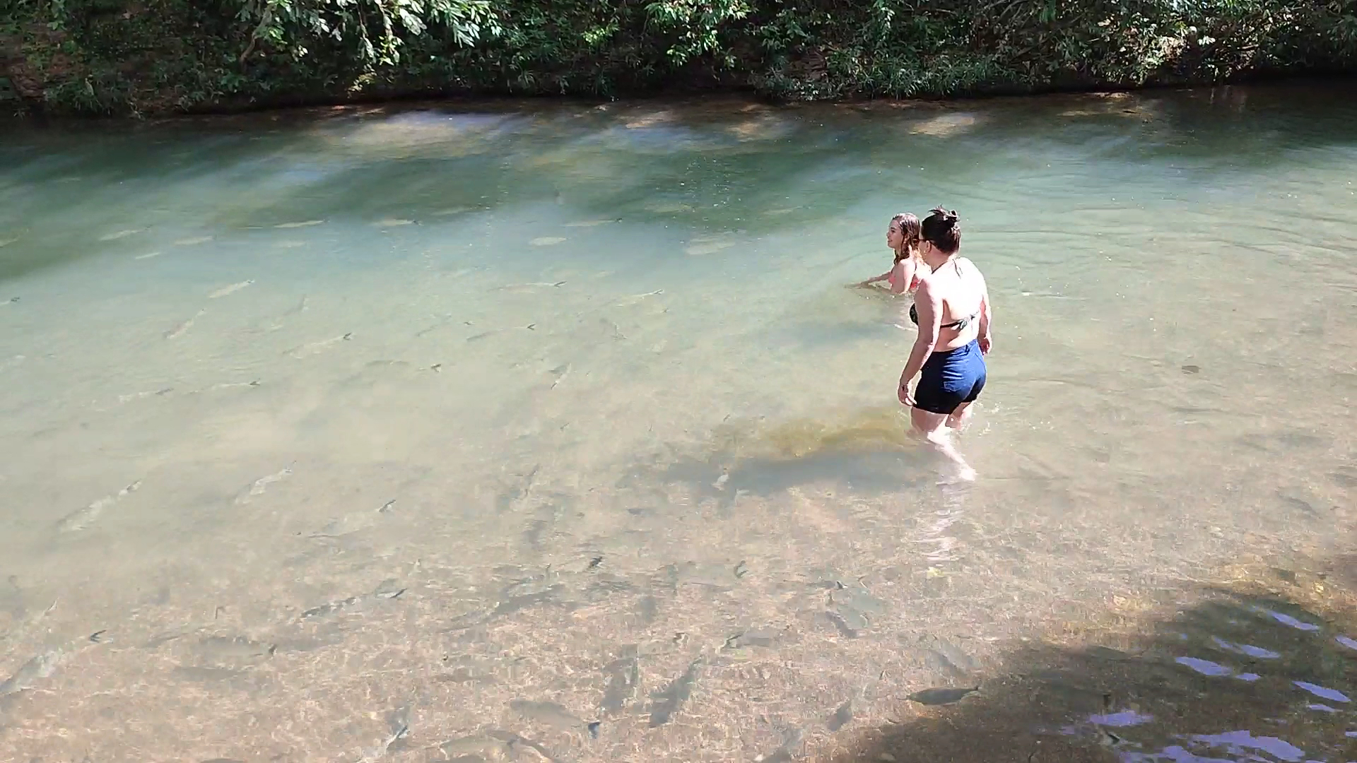 Balneário Rancho WL - ITO - Image 2