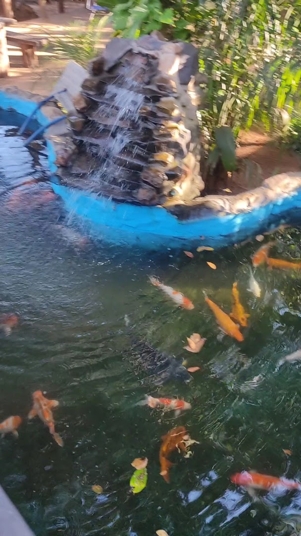 Balneário Rancho WL - ITO - Image 3