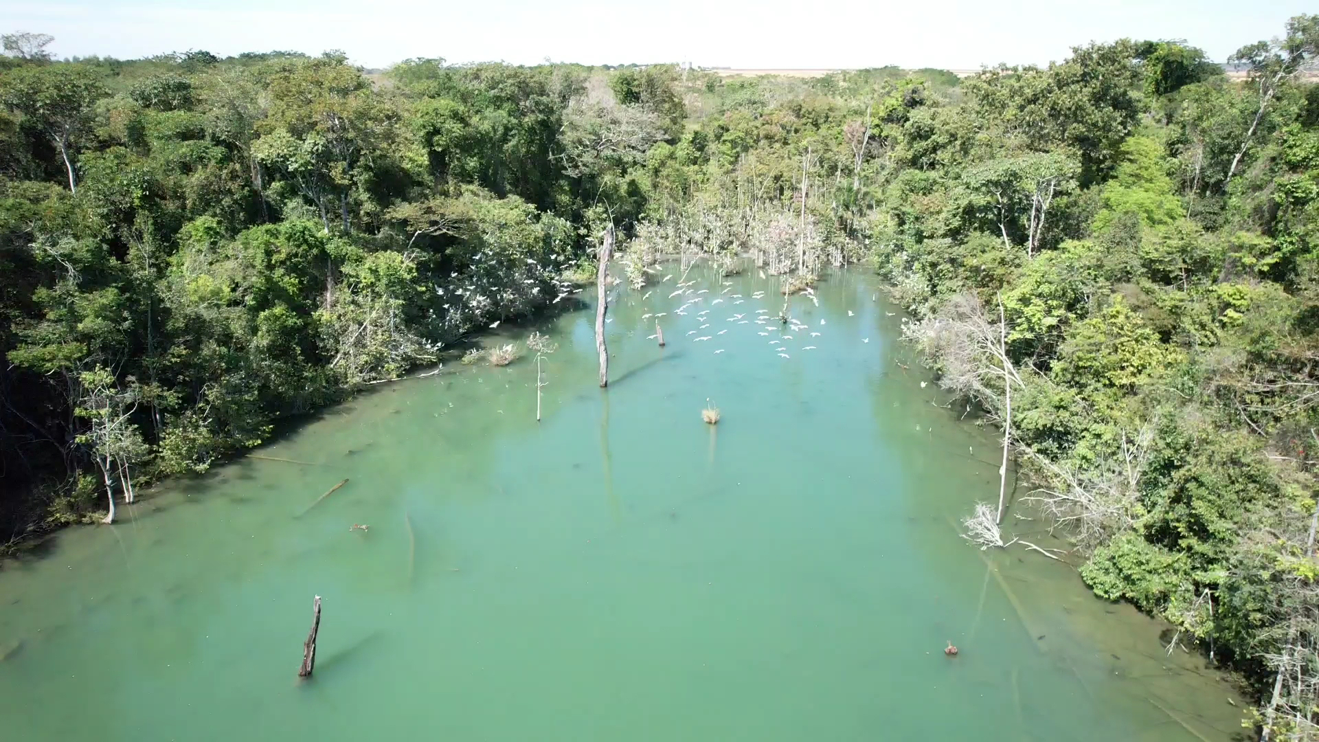 Pesque Pague São Miguel - Image 3