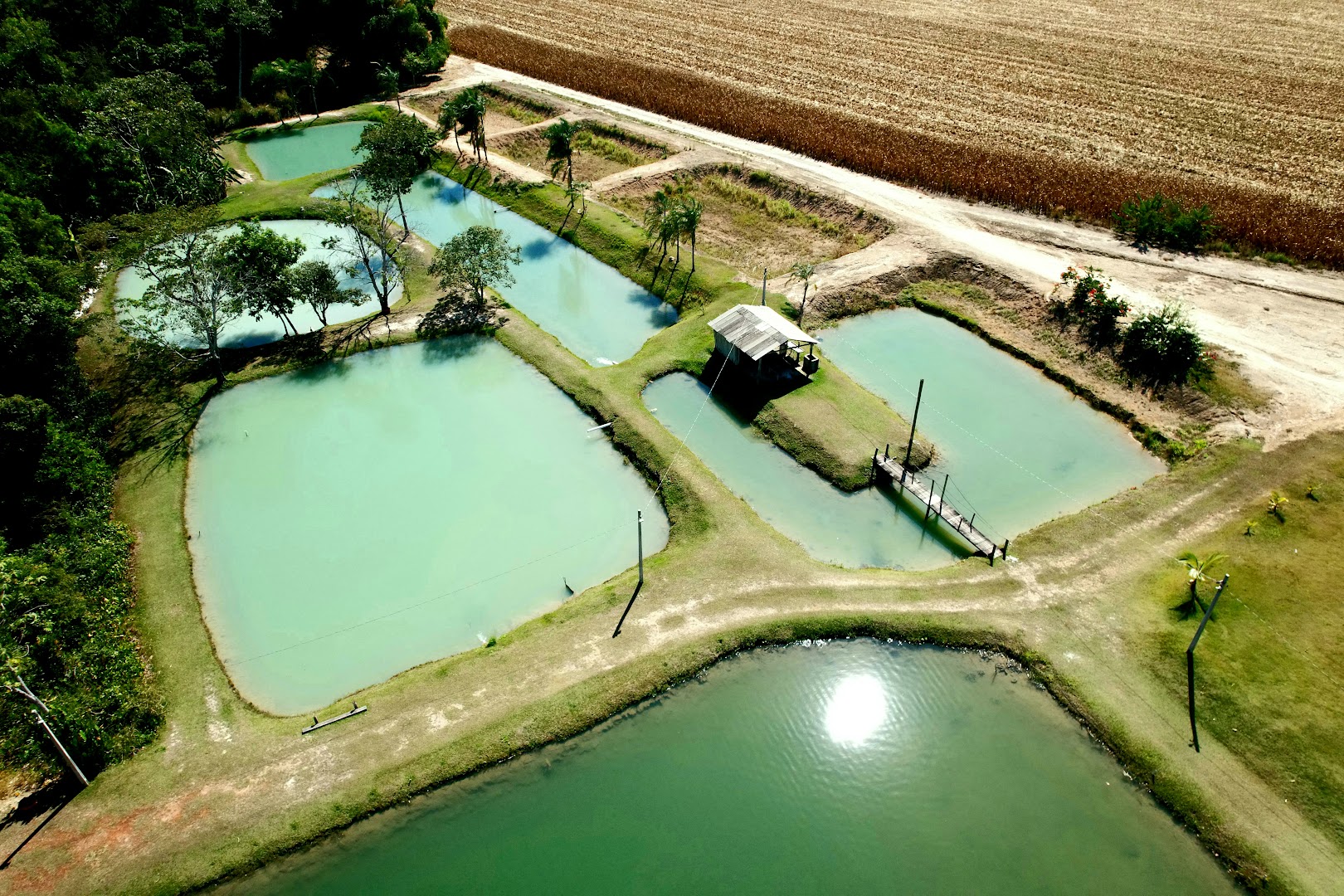 Pesque Pague São Miguel - Image 5