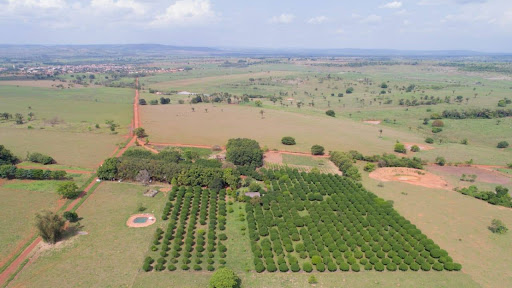 Sitio Colina Verde - Image 2