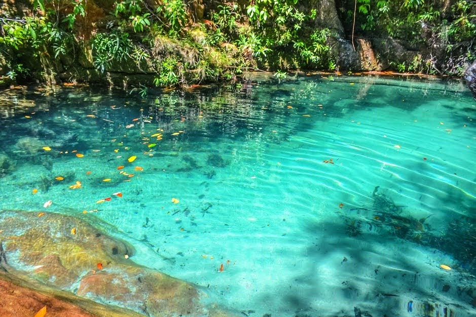 Fazenda Recanto da Serra - MT - Image 4