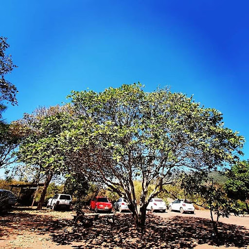 Sitio Recanto das Sete Kedas. Entrada do Canion do Jatobà - Image 2