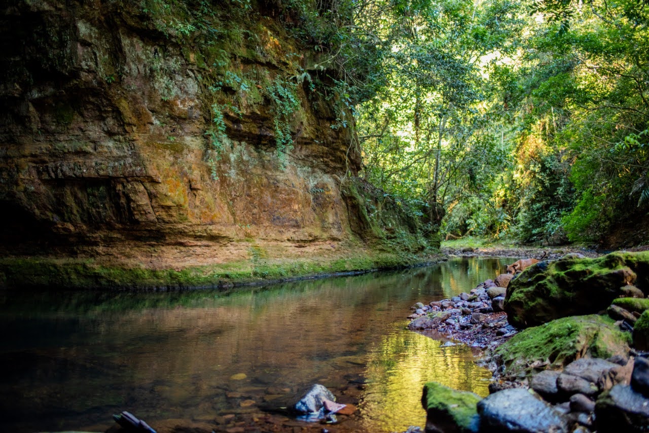 Camping e trilhas do Sossego - Image 4