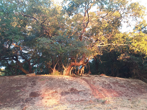 Rancho do Ely - Image 2