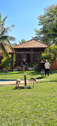 Pantanal Ranch Meia Lua - Main Image