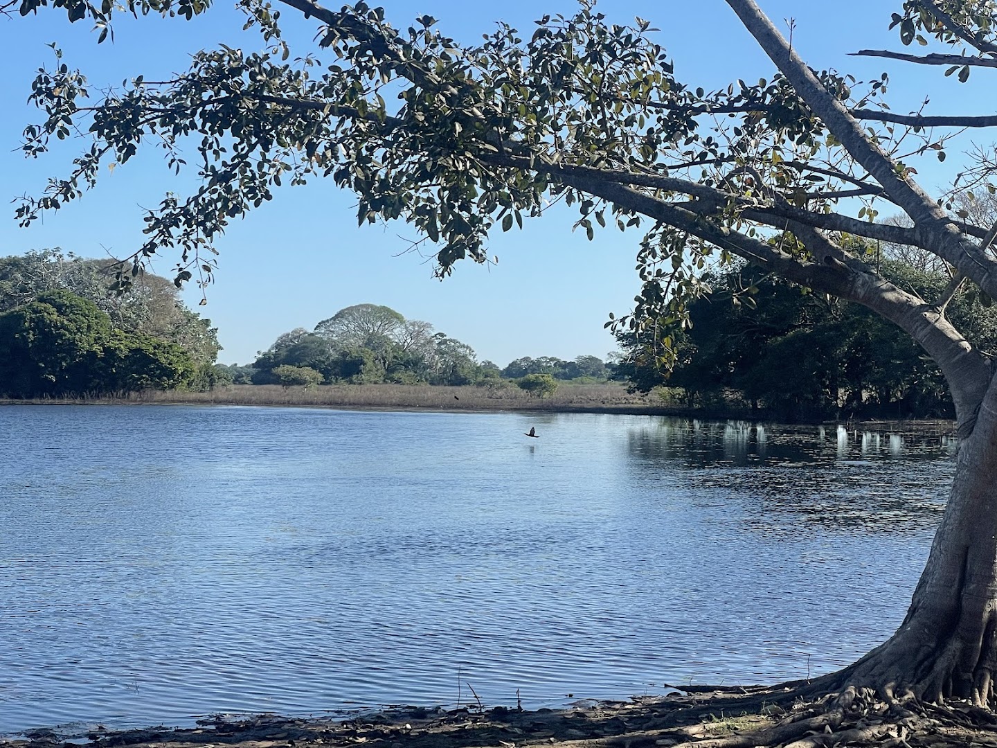 Fazenda Sao Joao - Image 4