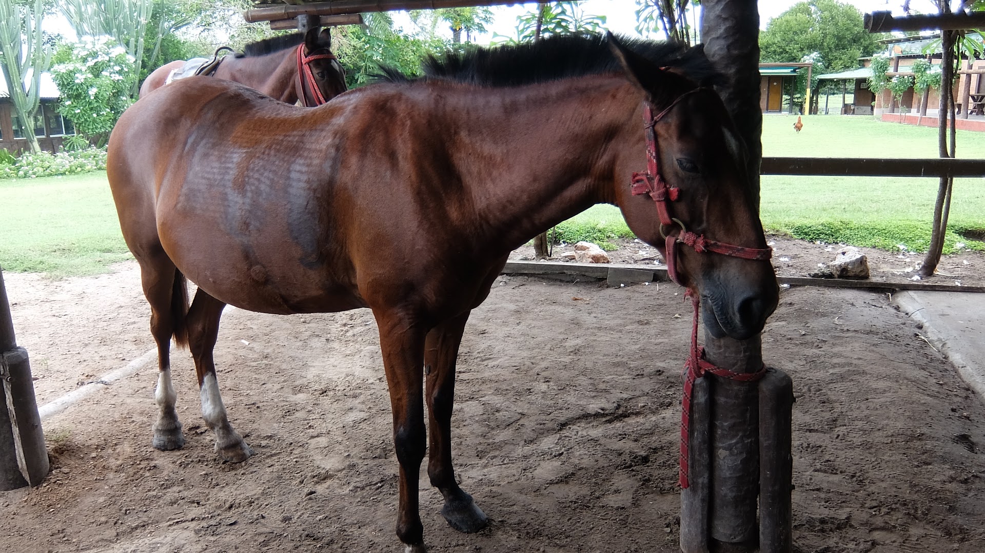 Fazenda Sao Joao - Image 5