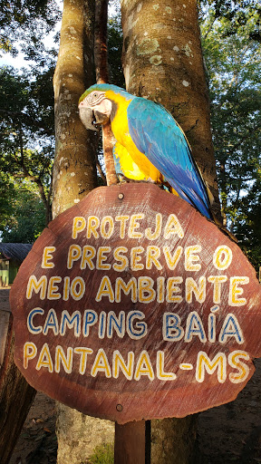 Camping Baía - Main Image
