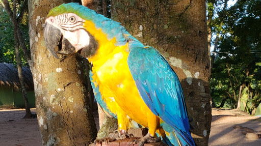 Camping Baía - Image 4