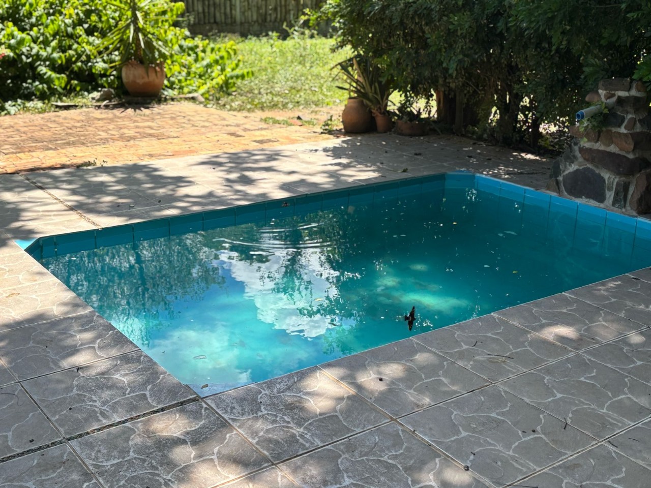 Novo Mundo - Image 3