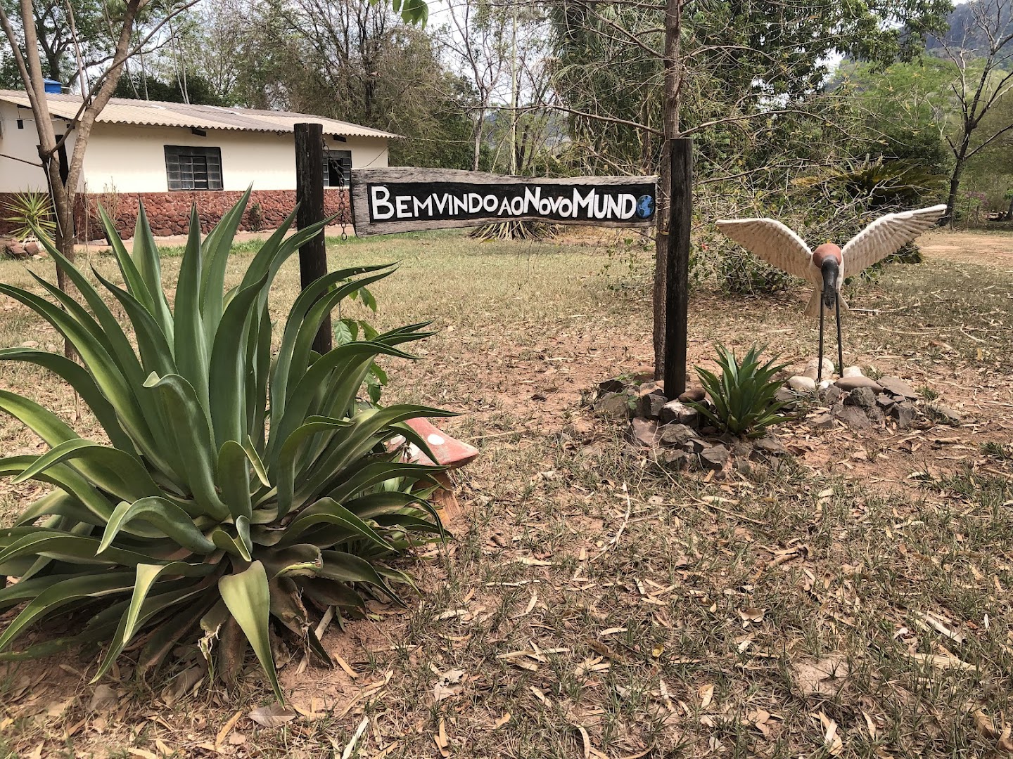 Novo Mundo - Image 4