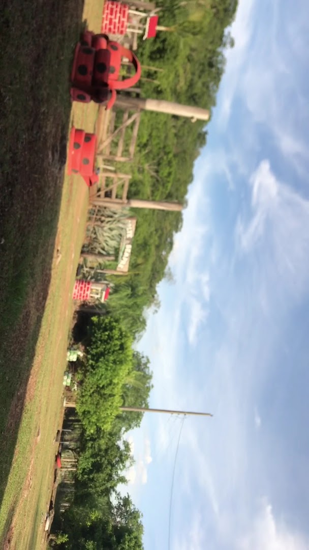 Recanto LP - Main Image