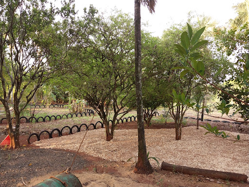 Camping Cerrado extremo ecoturismo - Image 3