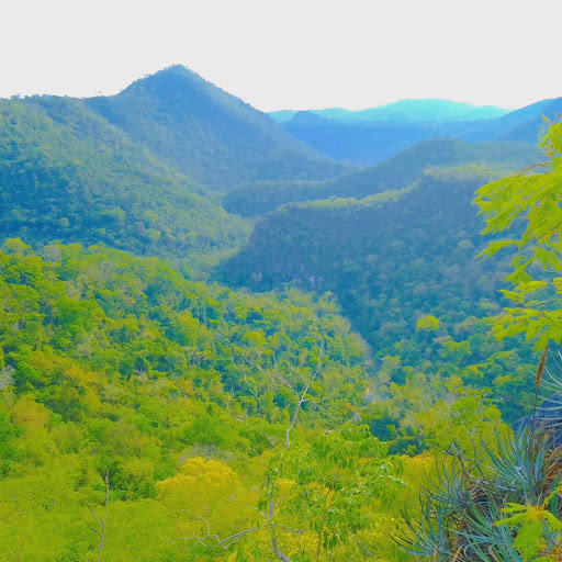 Camping 3 irmão - Image 4