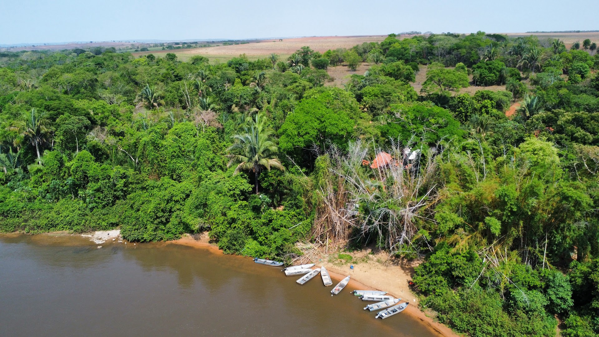 Cachoeira das Palmeiras - Image 4
