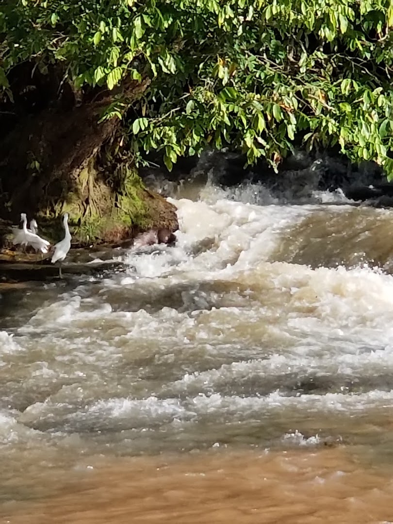 Cachoeira das Palmeiras - Image 5