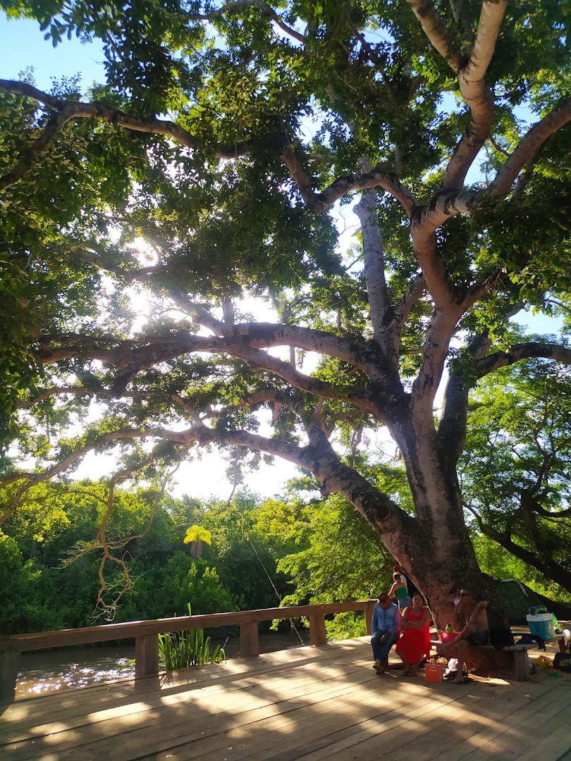 Balneário Barrinha - Image 3